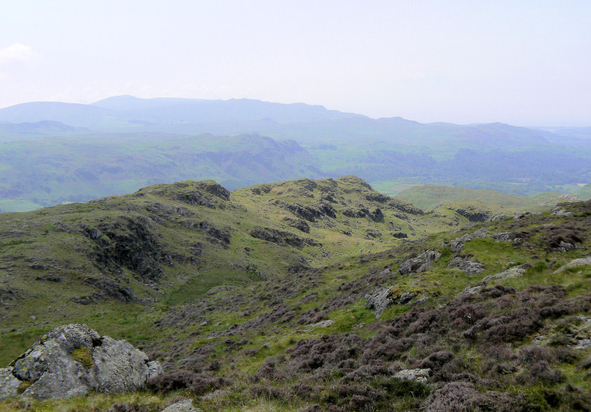 Whin Crag Whin Crag